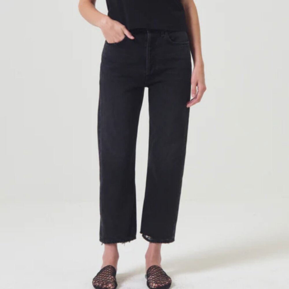 Agolde 90's Crop Jean in Bauhaus